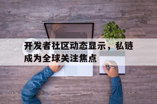 开发者社区动态显示，私链成为全球关注焦点