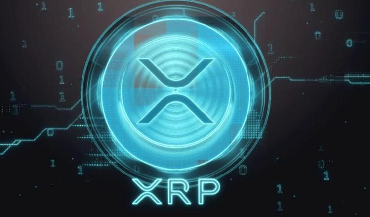 体育平台-专家称XRP将在年底冲破349美元，引发引发关注