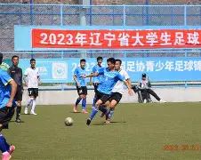 半岛体育网-辽宁队外援表现神勇,带领球队取胜的是谁 第2张 半岛体育网-辽宁队外援表现神勇,带领球队取胜的是谁 第2张